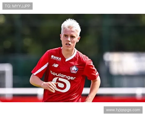 冰岛足球明星阵容揭秘他们如何在国际赛场上崭露头角