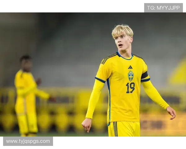 全面解析皇冠足球明星名单及其辉煌成就与历史影响