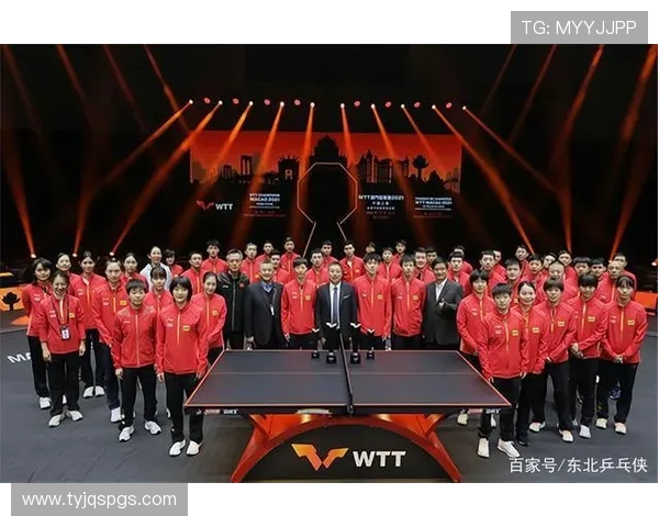 成都乒乓球队灵活性深度剖析与其他球队的对比研究