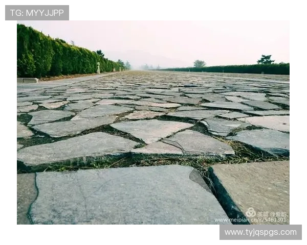 与吴娜畅聊网球生涯的点滴与挑战，探寻她的成长与梦想